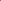 Jaqueta Violet